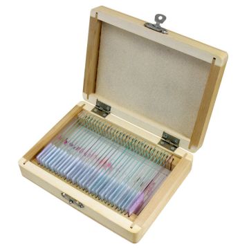 Připravené preparáty BRESSER: histologie